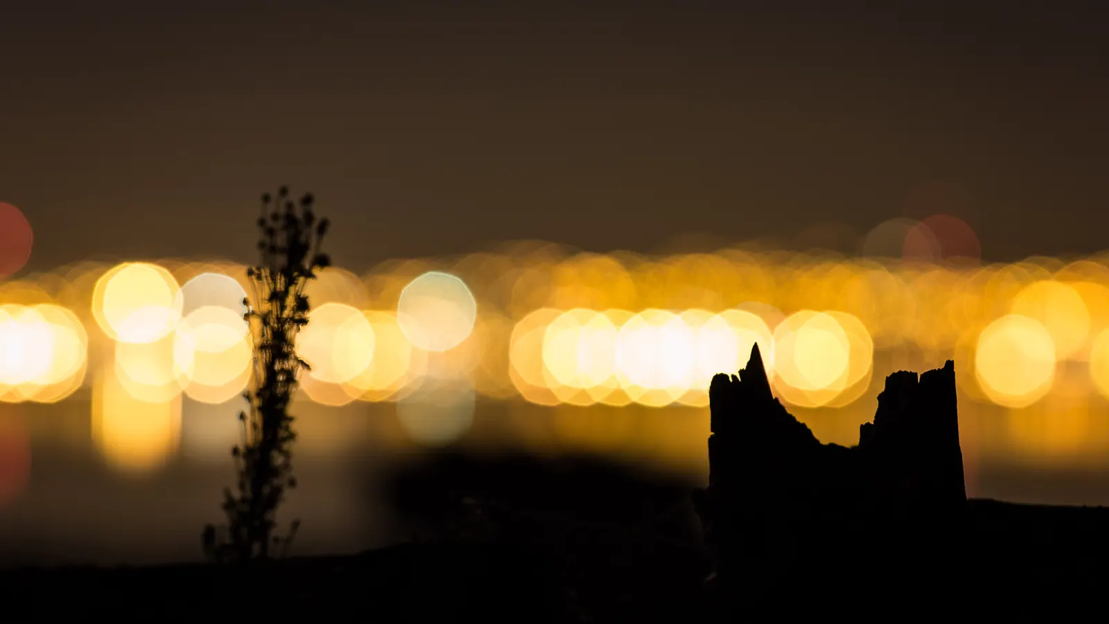 Lumières de la ville floues dans la nuit, silhouettes de plantes au premier plan