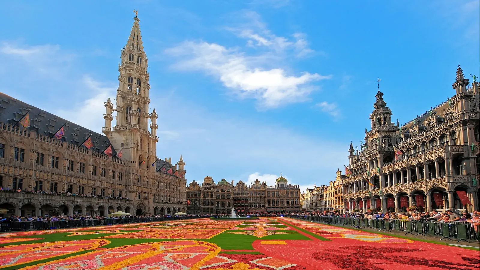 La Grand-Place de Bruxelles et son hôtel de ville, pendant le tapis de fleurs