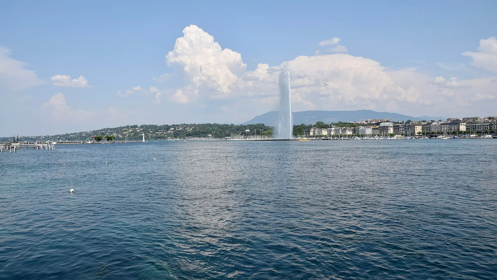 Le jet d'eau sur la rade de Genève